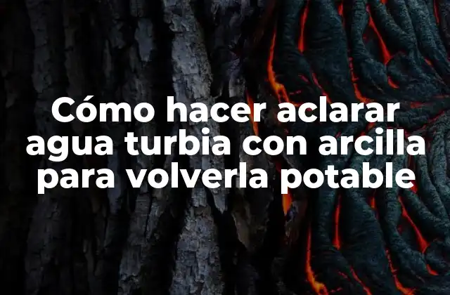 Cómo Hacer Aclarar Agua Turbia con Arcilla para Volverla Potable 2 Cómo hacer aclarar agua turbia con arcilla para volverla potable