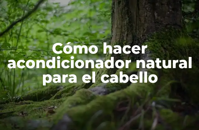 Cómo hacer acondicionador natural para el cabello