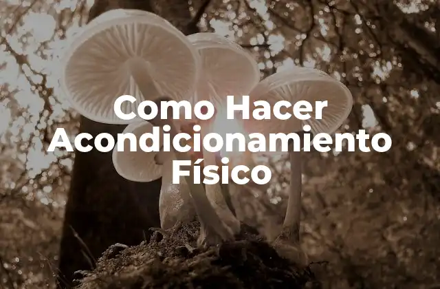Como Hacer Acondicionamiento Físico