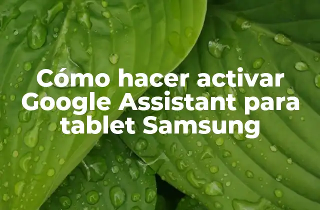 Cómo Hacer Activar Google Assistant para Tablet Samsung