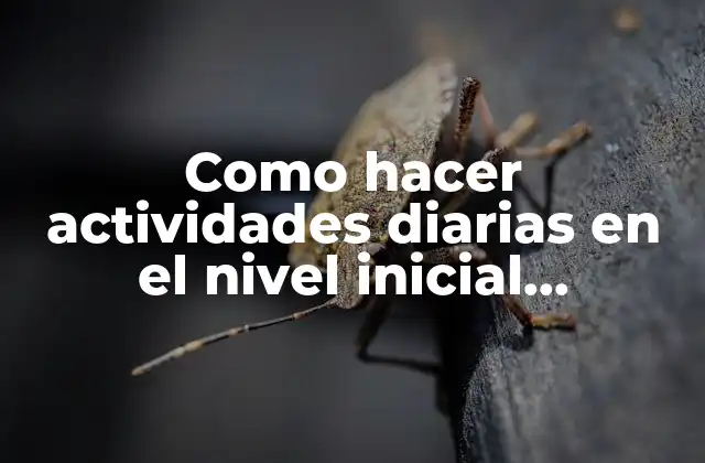 Como Hacer Actividades Diarias en el Nivel Inicial República Dominicana