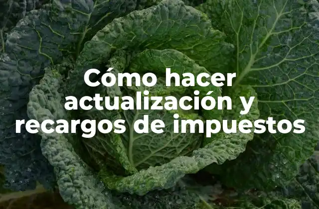 Cómo Hacer Actualización y Recargos de Impuestos