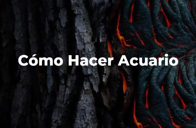 Cómo Hacer Acuario