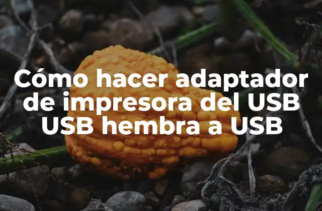 Cómo Hacer Adaptador de Impresora Del Usb Usb Hembra a Usb