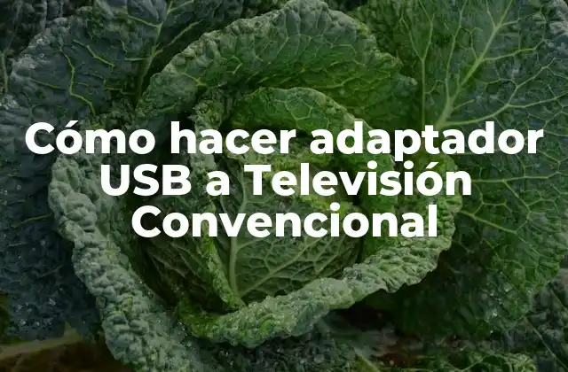 Cómo Hacer Adaptador Usb a Televisión Convencional 2 Cómo hacer adaptador USB a Televisión Convencional
