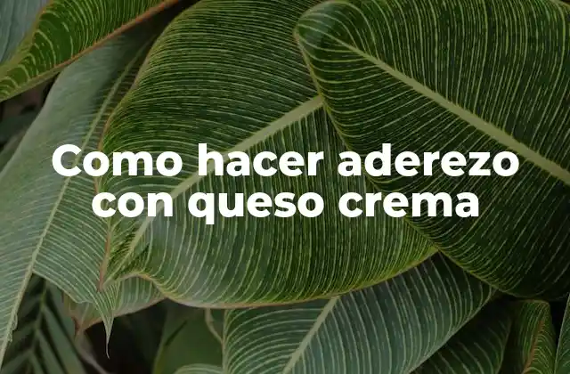 Como Hacer Aderezo con Queso Crema 2 Aderezo con queso crema: ¿Qué es y para qué sirve?