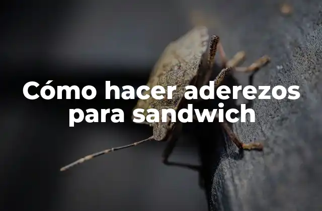 Cómo Hacer Aderezos para Sandwich