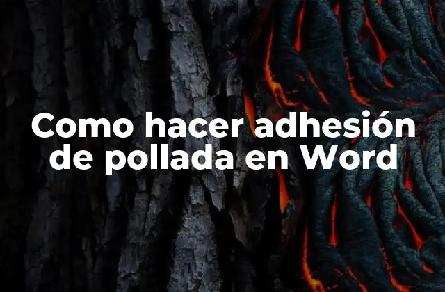 Como Hacer Adhesión de Pollada en Word