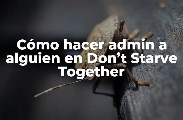 Cómo Hacer Admin a Alguien en Don't Starve Together 2 ¿Qué es un administrador en Don't Starve Together?