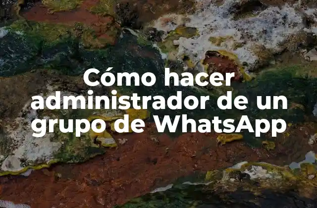 Cómo Hacer Administrador de un Grupo de Whatsapp