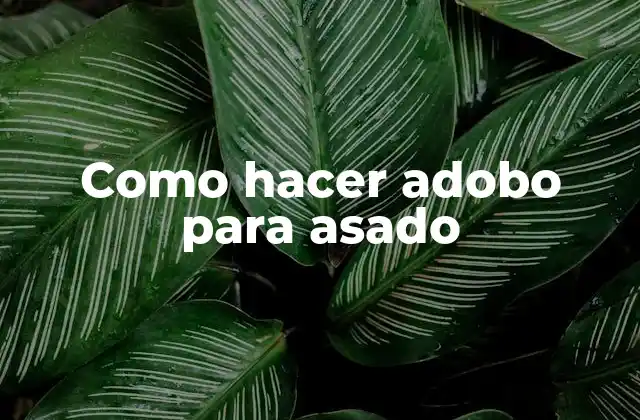 Como Hacer Adobo para Asado