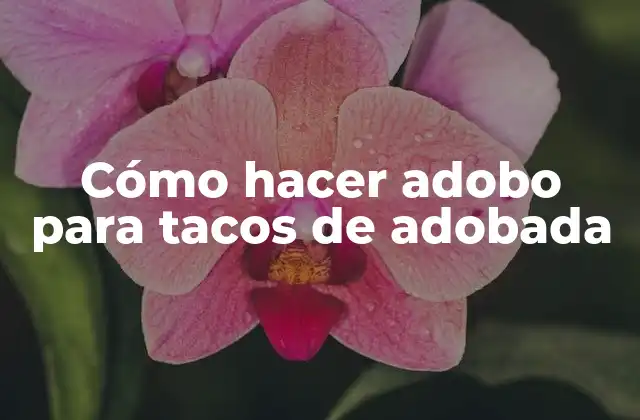 Cómo Hacer Adobo para Tacos de Adobada