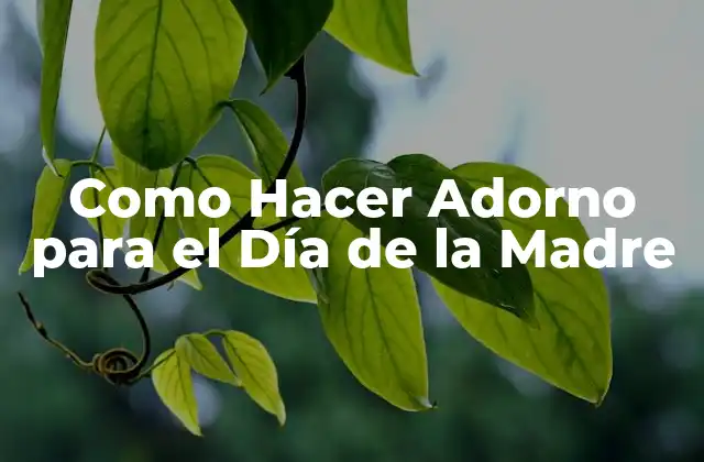 Como Hacer Adorno para el Día de la Madre