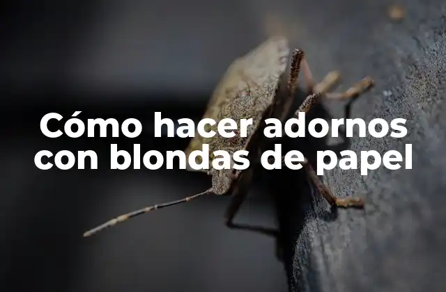 Cómo Hacer Adornos con Blondas de Papel 2 Cómo hacer adornos con blondas de papel