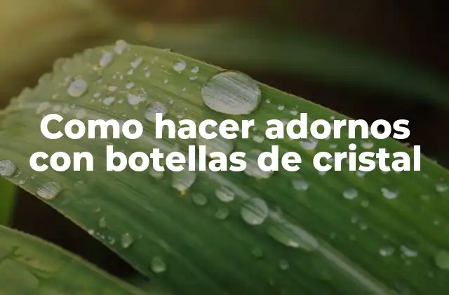 Como Hacer Adornos con Botellas de Cristal