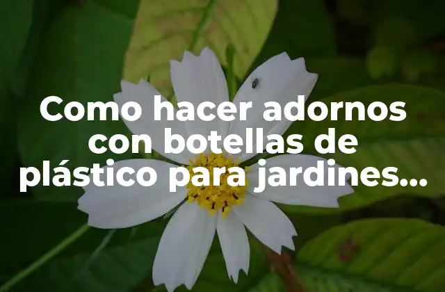 Como Hacer Adornos con Botellas de Plástico para Jardines Exteriores