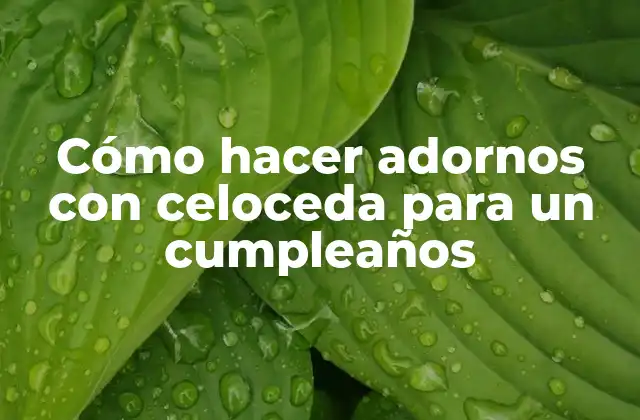 Cómo Hacer Adornos con Celoceda para un Cumpleaños