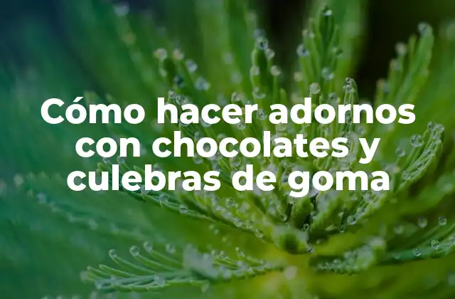 Cómo Hacer Adornos con Chocolates y Culebras de Goma