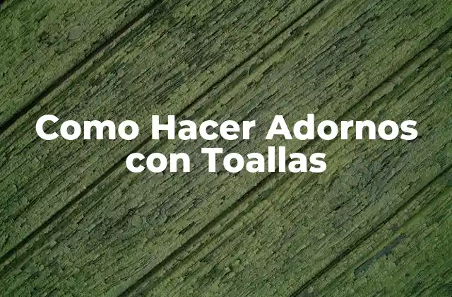 Como Hacer Adornos con Toallas