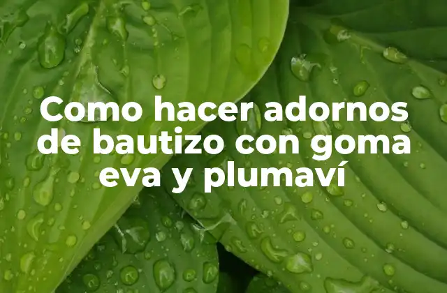 Como Hacer Adornos de Bautizo con Goma Eva y Plumaví