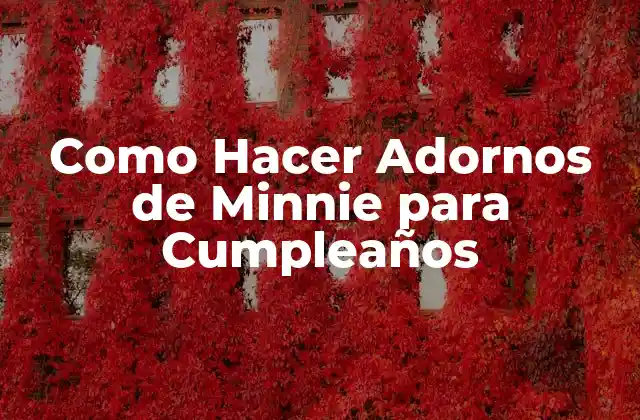 ¿Qué son los Adornos de Minnie?