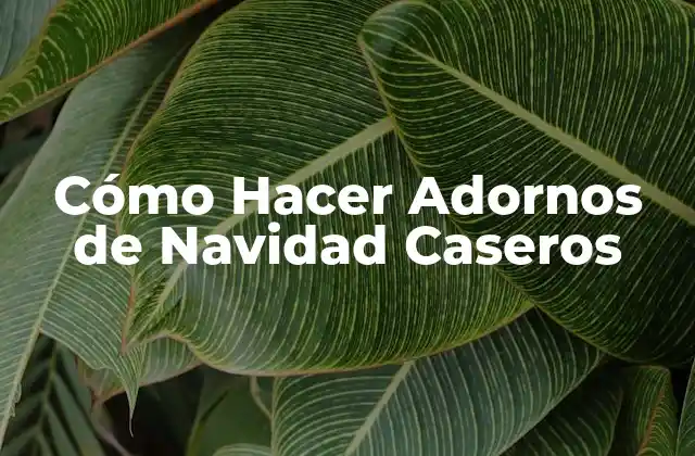 Cómo Hacer Adornos de Navidad Caseros