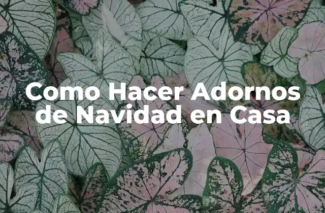 Como Hacer Adornos de Navidad en Casa