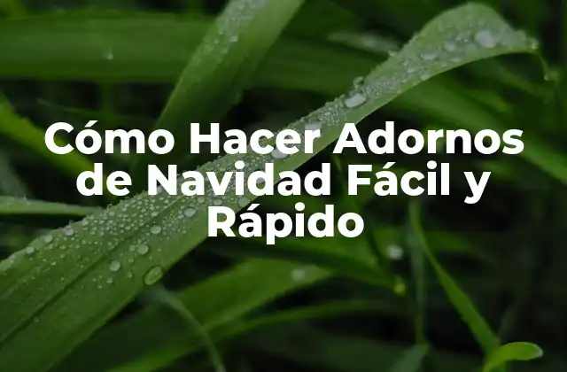 Cómo Hacer Adornos de Navidad Fácil y Rápido