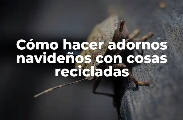 Cómo Hacer Adornos Navideños con Cosas Recicladas