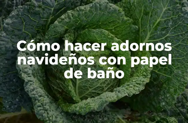 Cómo Hacer Adornos Navideños con Papel de Baño