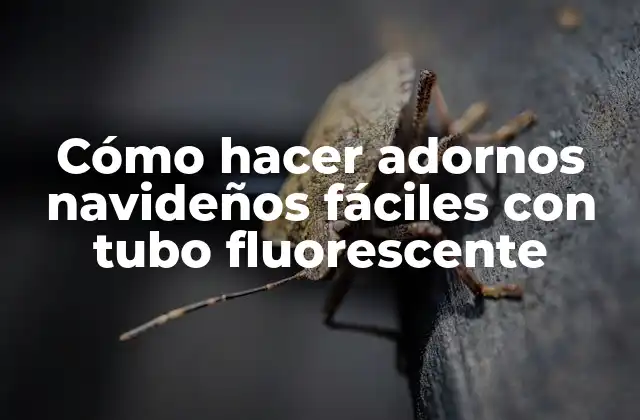 Cómo Hacer Adornos Navideños Fáciles con Tubo Fluorescente