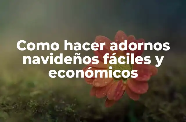 Como Hacer Adornos Navideños Fáciles y Económicos