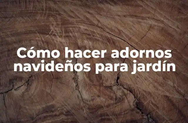 Cómo Hacer Adornos Navideños para Jardín