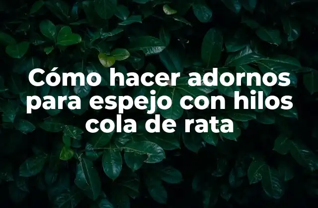 Cómo Hacer Adornos para Espejo con Hilos Cola de Rata
