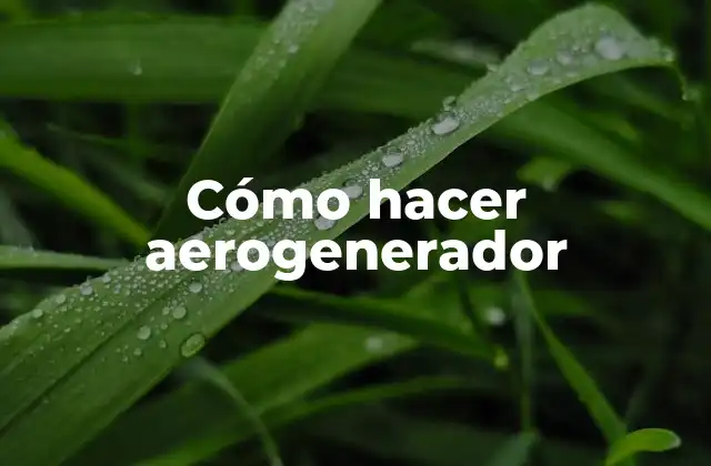 Cómo Hacer Aerogenerador