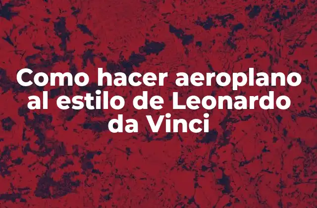 ¿Qué es un aeroplano al estilo de Leonardo da Vinci?
