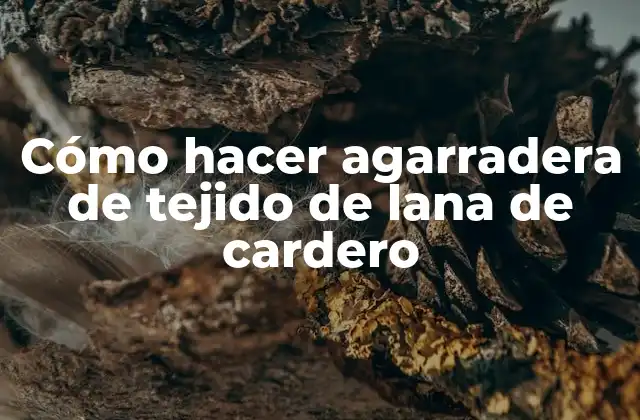 Cómo Hacer Agarradera de Tejido de Lana de Cardero