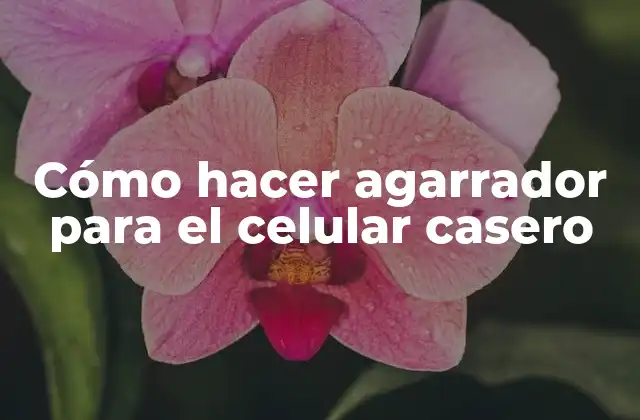 Cómo Hacer Agarrador para el Celular Casero