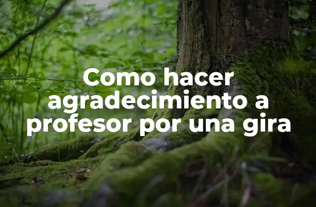 Como Hacer Agradecimiento a Profesor por una Gira 2 Agradecimiento a un profesor por una gira