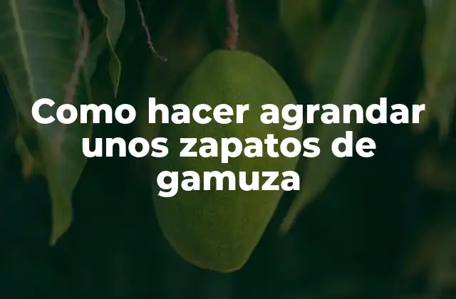 Como Hacer Agrandar unos Zapatos de Gamuza