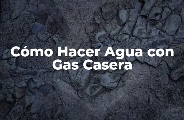 ¿Qué es el Agua con Gas Casera y para Qué Sirve?