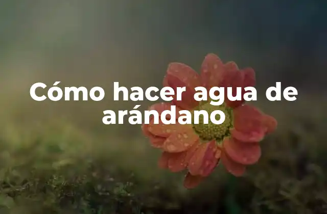 ¿Qué es el agua de arándano y para qué sirve?