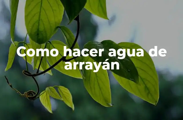 Como Hacer Agua de Arrayán