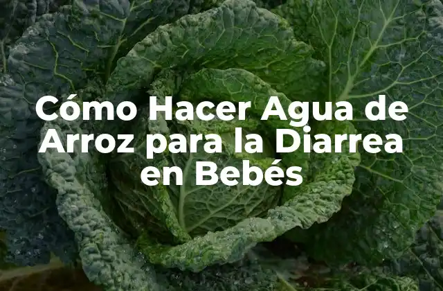 Cómo Hacer Agua de Arroz para la Diarrea en Bebés