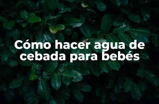 Cómo Hacer Agua de Cebada para Bebés