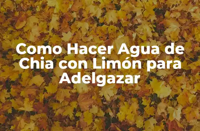 Como Hacer Agua de Chia con Limón para Adelgazar