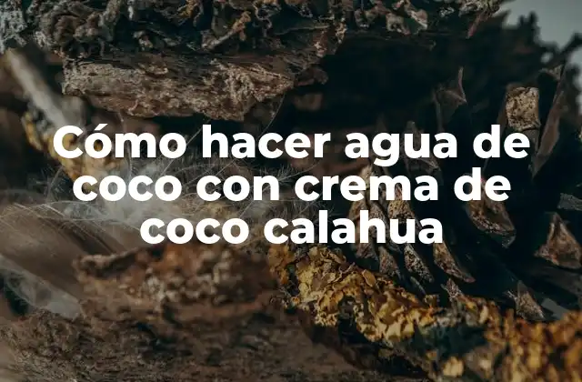 Cómo Hacer Agua de Coco con Crema de Coco Calahua 2 Cómo hacer agua de coco con crema de coco calahua