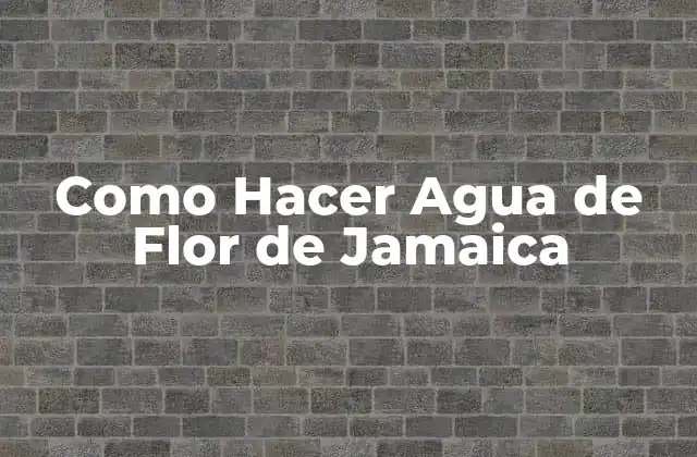Como Hacer Agua de Flor de Jamaica