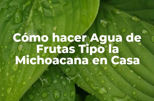 Cómo Hacer Agua de Frutas Tipo la Michoacana en Casa