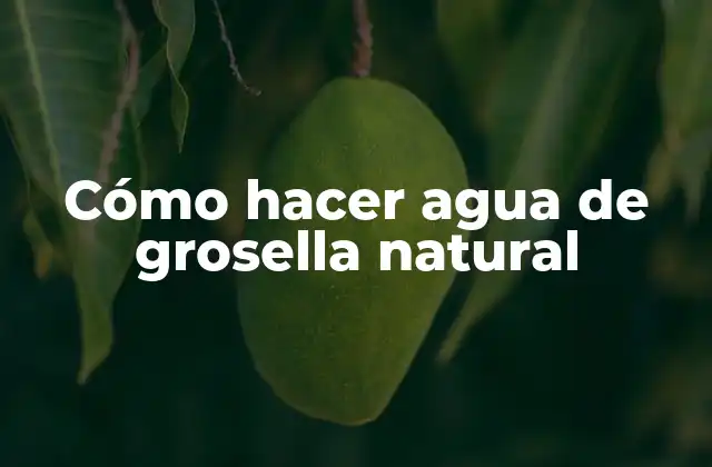 Cómo Hacer Agua de Grosella Natural